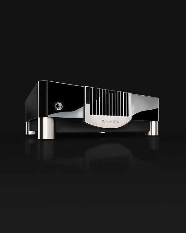 N15_Schwarz_Palinux_