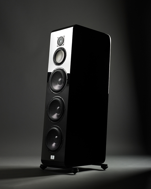 marten_django_portrait